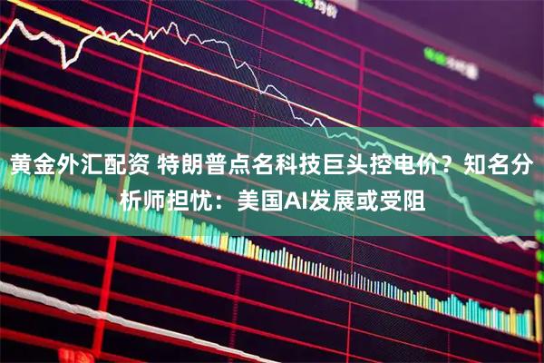 黄金外汇配资 特朗普点名科技巨头控电价？知名分析师担忧：美国AI发展或受阻