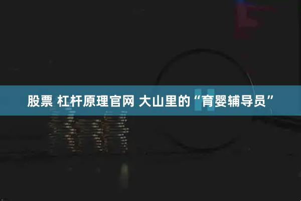 股票 杠杆原理官网 大山里的“育婴辅导员”